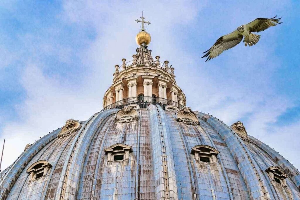 Uno spettacolo insolito ha catturato l'attenzione dei romani e dei turisti: un maestoso falco in volo sopra la Cupola di San Pietro. Questo evento raro ha offerto un momento di meraviglia, unendo la maestosità della natura a uno dei luoghi più iconici al mondo.